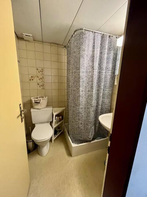Apartment Near Central Station Zürih Dış mekan fotoğraf