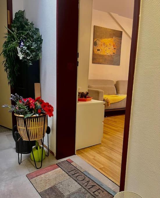 Apartment Near Central Station Zürih Dış mekan fotoğraf