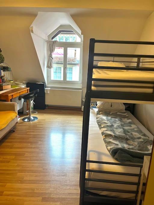 Apartment Near Central Station Zürih Dış mekan fotoğraf