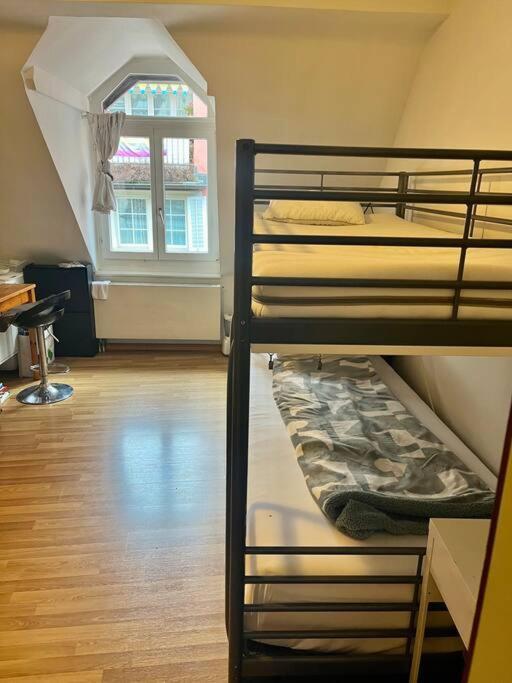 Apartment Near Central Station Zürih Dış mekan fotoğraf