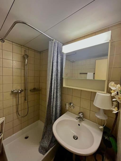 Apartment Near Central Station Zürih Dış mekan fotoğraf